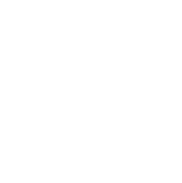 Le Vinylist | Pressage de disques vinyles | Vinyls Pressing Plant