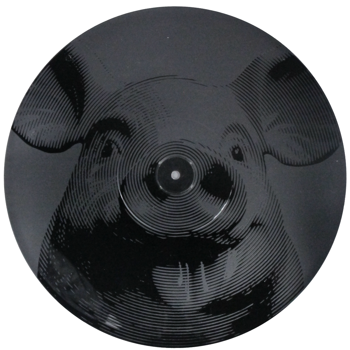 Le Vinylist | Disques vinyle à Québec