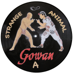 Picture disc